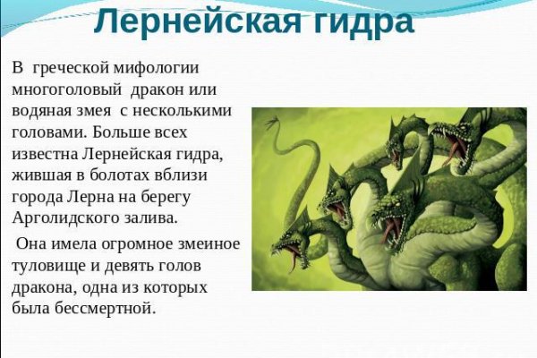 Kraken найдется все