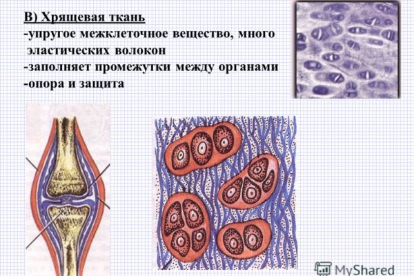 Не могу зайти на сайт кракен